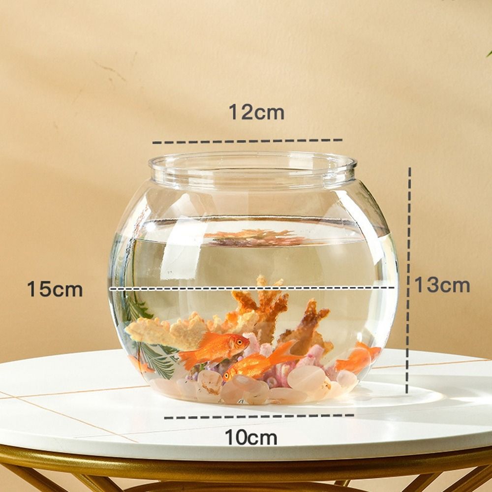 Home Decor Clear Transparent R - đánh giá và giá Aquarium Fish Names