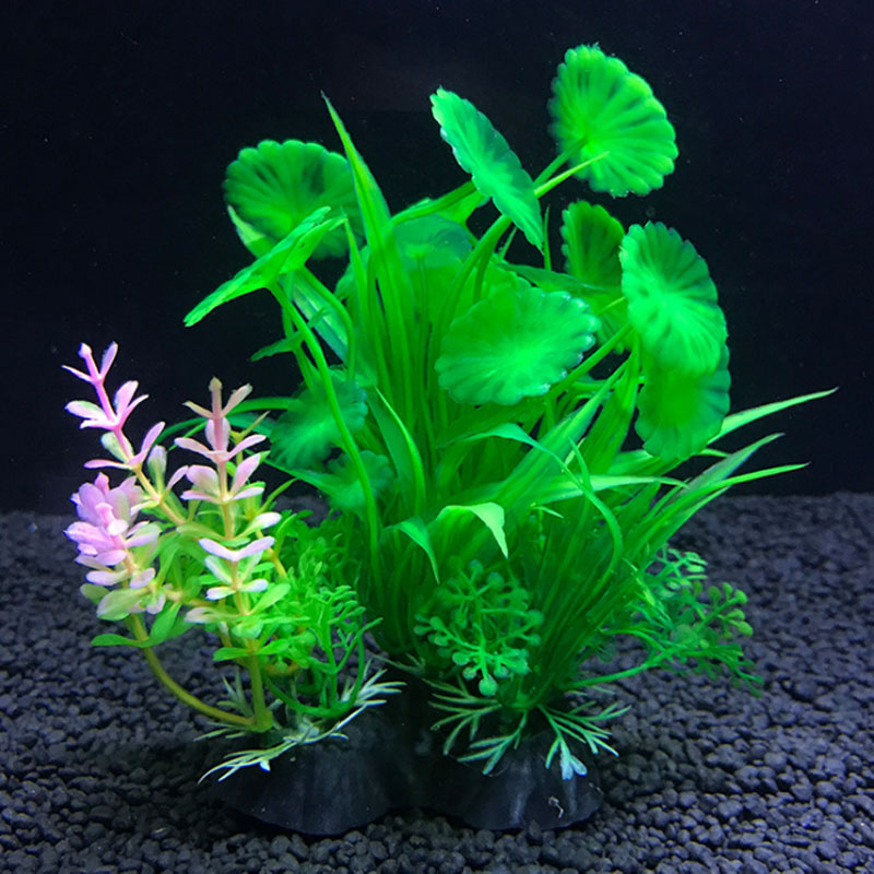 Aquarium decoration a variety  - đánh giá và giá Aquarium Fish Variety
