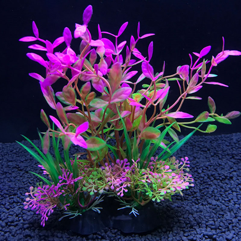 Aquarium decoration a variety  - đánh giá và giá Aquarium Fish Variety