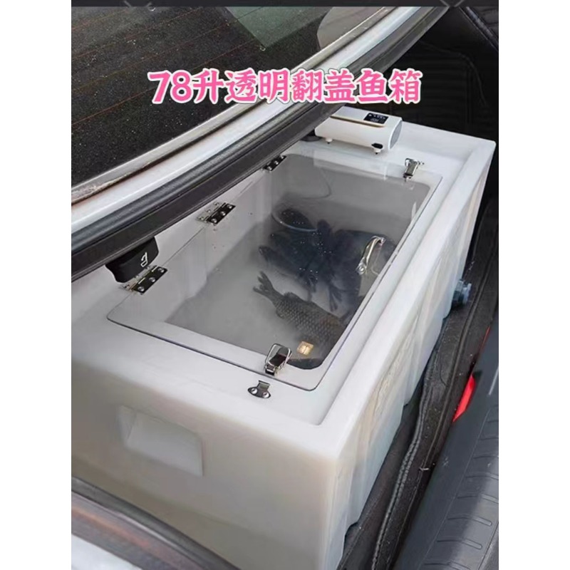 Car-mounted live fish box, thi - đánh giá và giá Live Fish Aquarium