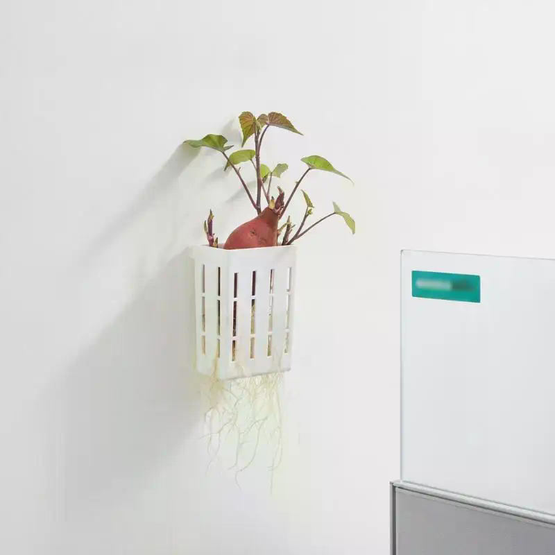 1Pcs Hydroponic Support Basket - đánh giá và giá Aquarium Fish Accessories