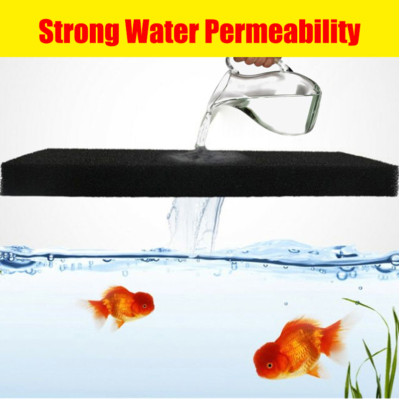 Phụ Kiện Hồ Thủy Sinh Hóa Bông - đánh giá và giá Xl Aquarium Fish