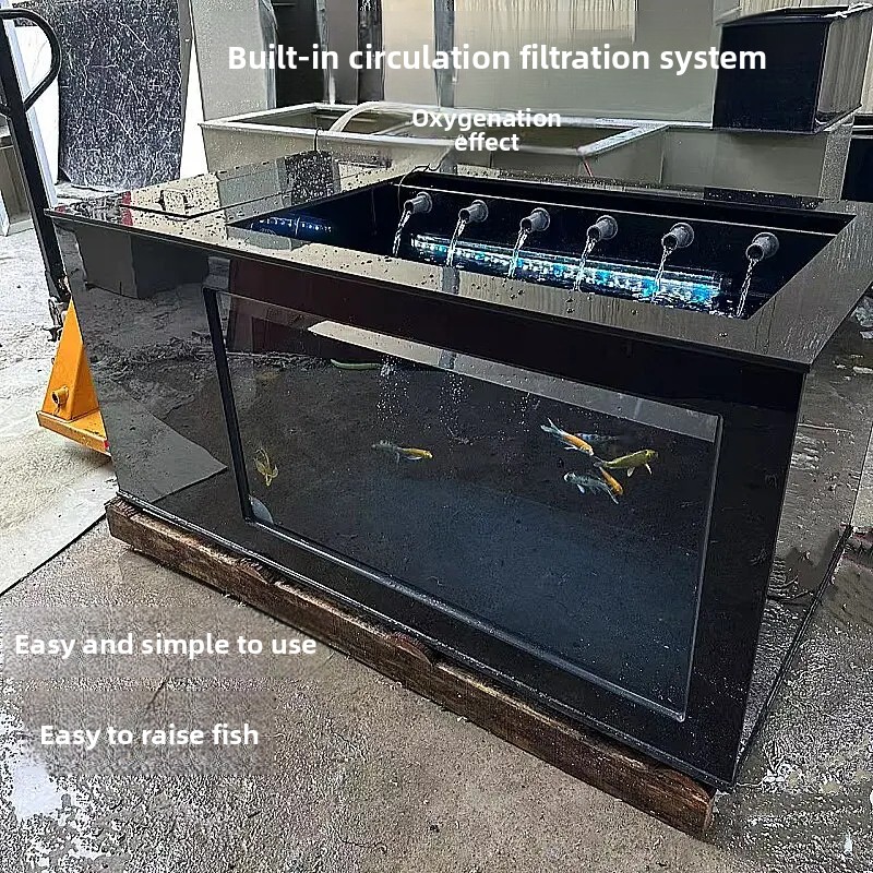 XL  Black Side-Filtered Fish T - đánh giá và giá Xl Aquarium Fish