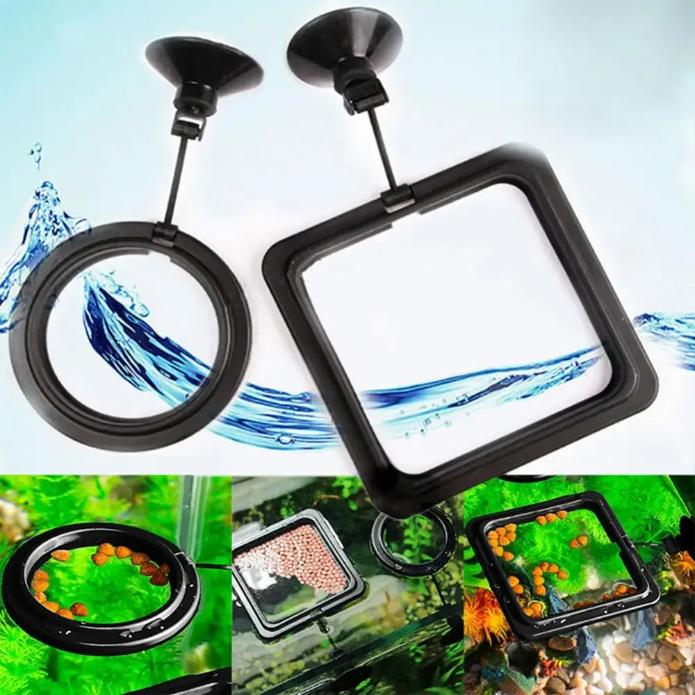 Feed Suction Cup Aquarium Feed - đánh giá và giá Aquarium Fish Accessories