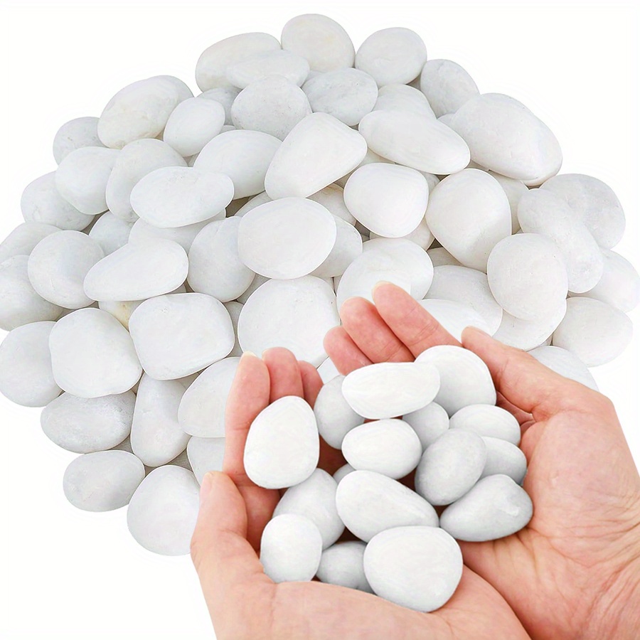 200/400g White High Polished N - đánh giá và giá Aquarium Fish To Buy
