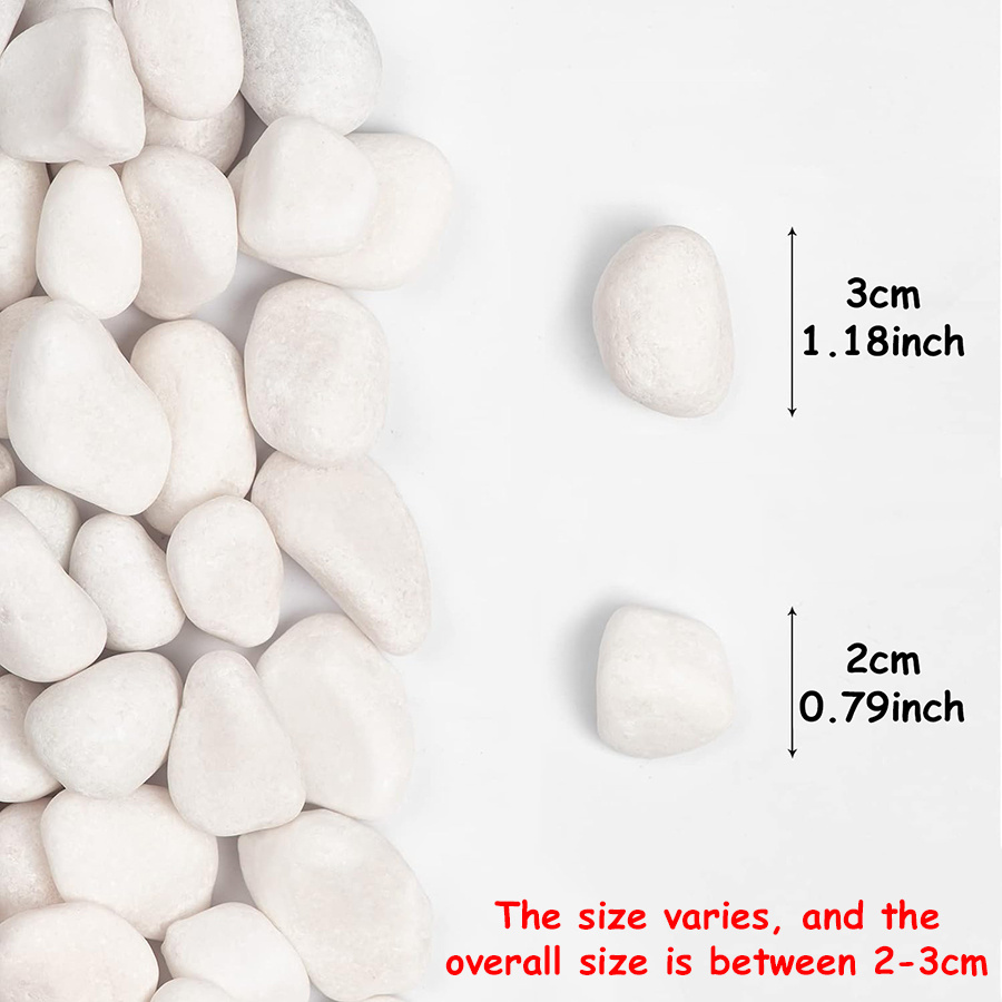 200/400g White High Polished N - đánh giá và giá Aquarium Fish To Buy