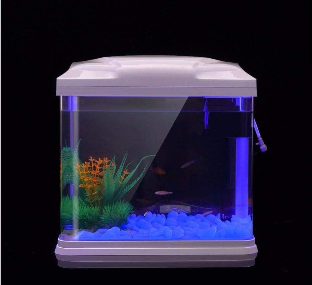 Fish Tank Rocks Glow Blue Pebb - đánh giá và giá Aquarium Fish To Buy