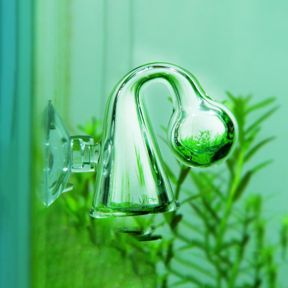 Fish Tank CO2 Diffuse Glass Dr - đánh giá và giá Aquarium Fish To Buy