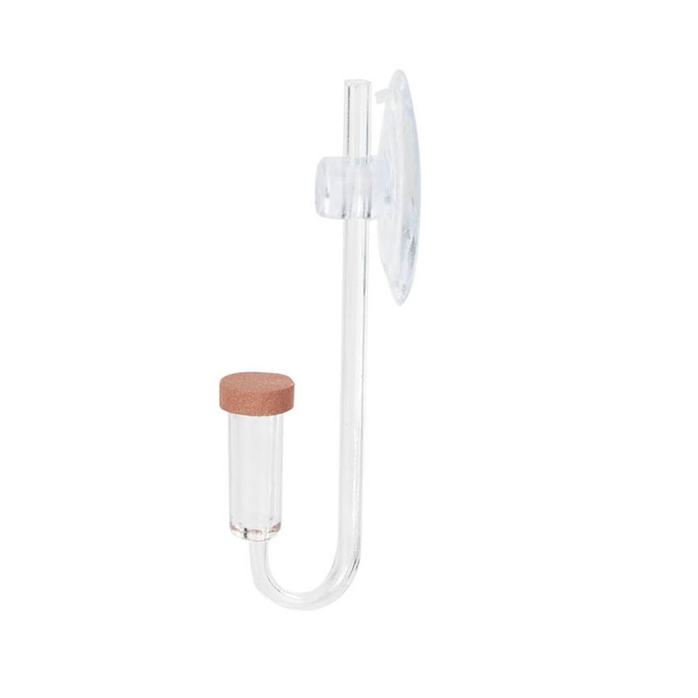 Acrylic Mini Fish Tank Live Pl - đánh giá và giá Live Fish Aquarium