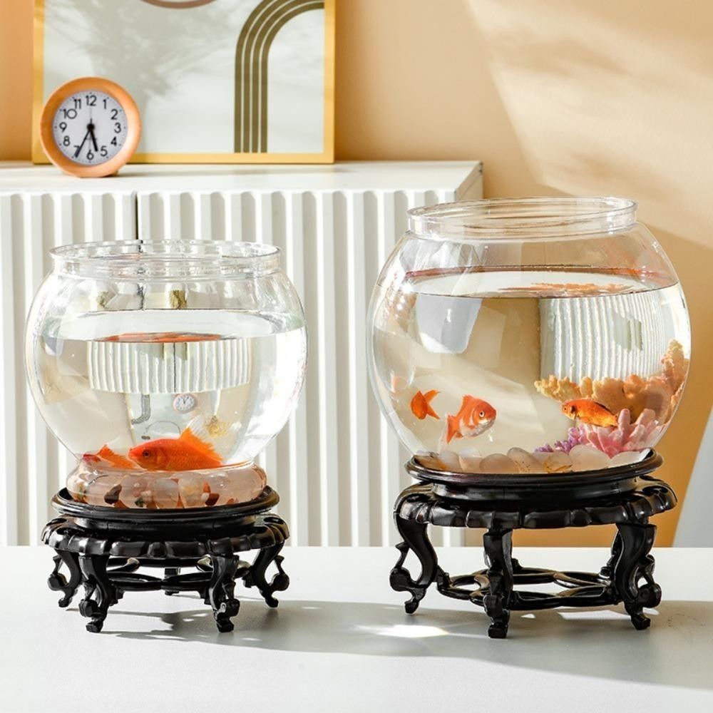 New Transparent Fish Tank Roun - đánh giá và giá Aquarium Fish Names