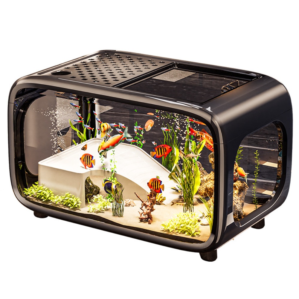 Creative Transparent Ecologica - đánh giá và giá Live Fish Aquarium