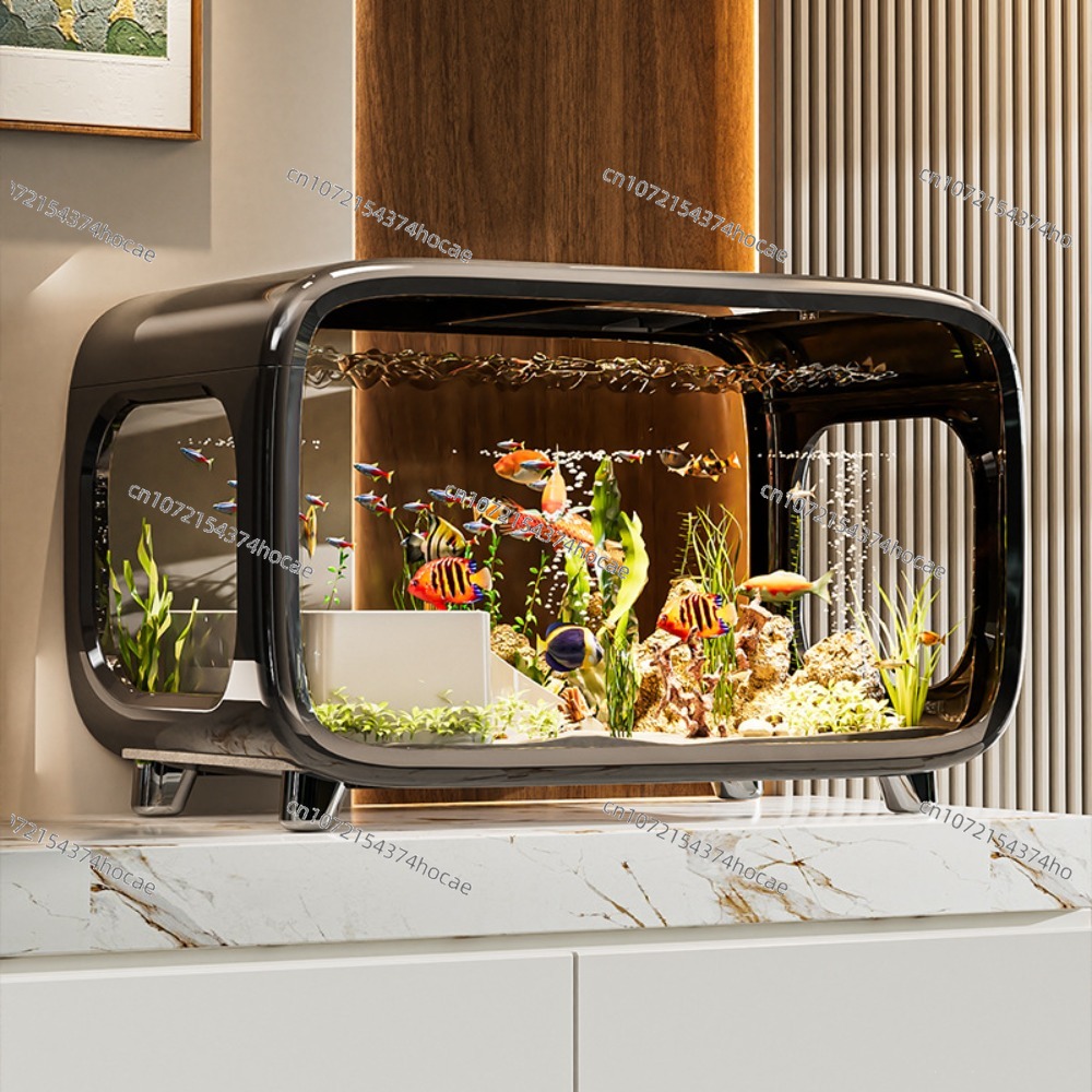 Creative Transparent Ecologica - đánh giá và giá Live Fish Aquarium