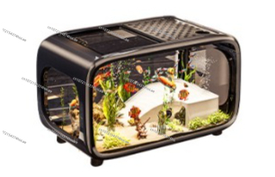 Creative Transparent Ecologica - đánh giá và giá Live Fish Aquarium