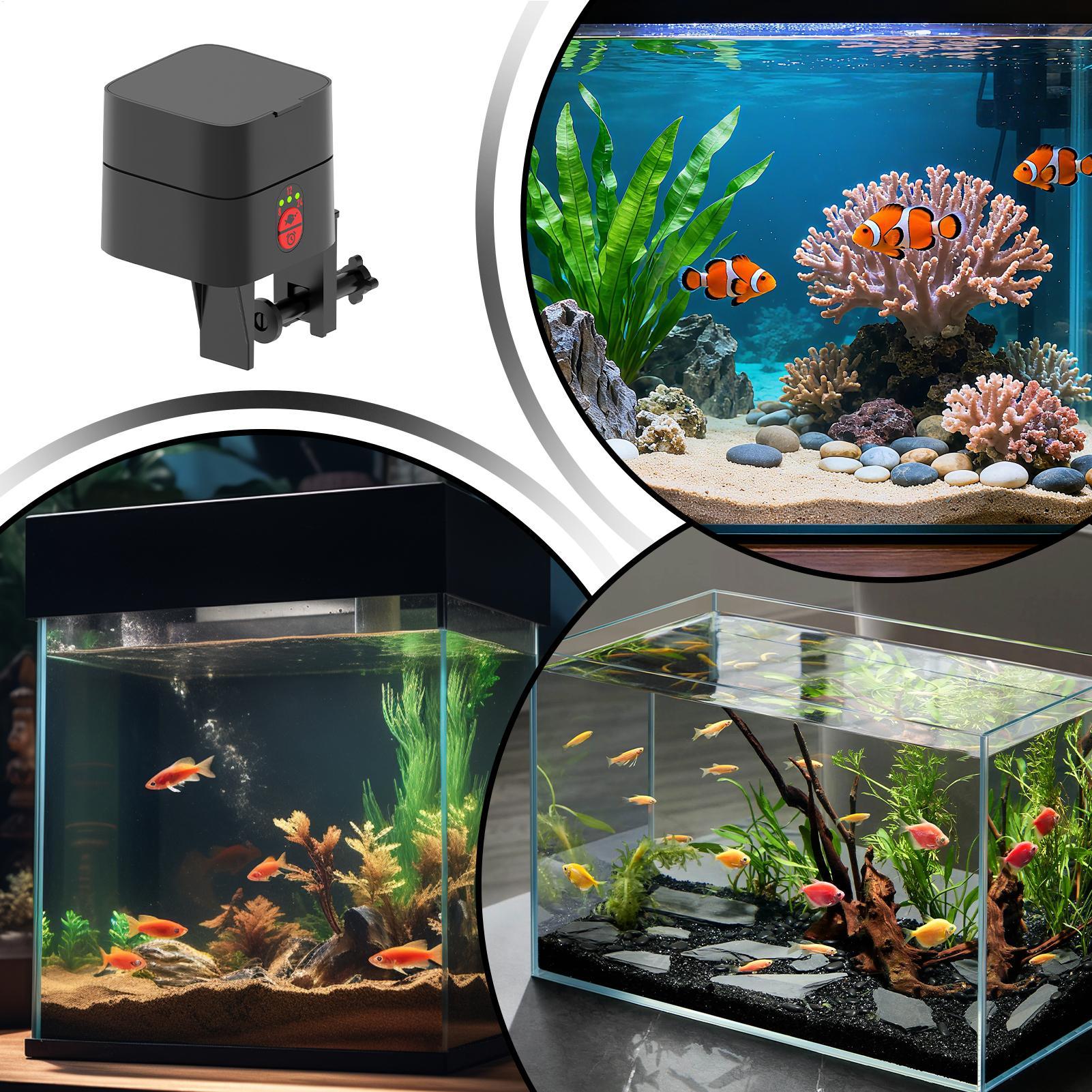 Auto Fish Feeder For Aquarium  - đánh giá và giá Fish Toy In Aquarium