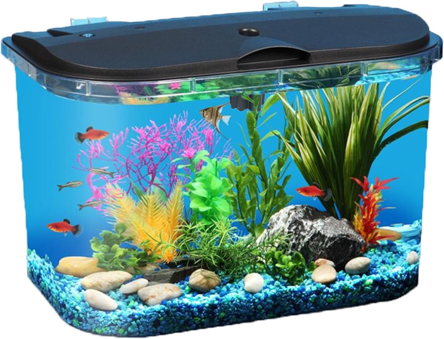 5-Gallon Aquarium Kit with LED - đánh giá và giá Aquarium Fish Variety