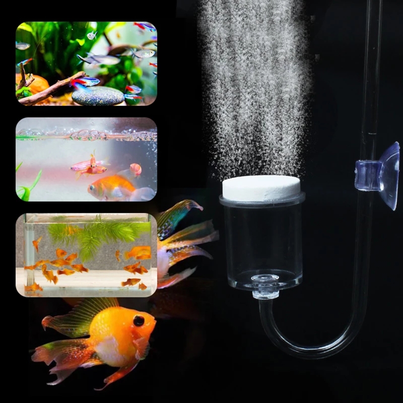 4pcs Set DIY CO2 Diffuser For  - đánh giá và giá Aquarium Fish To Buy