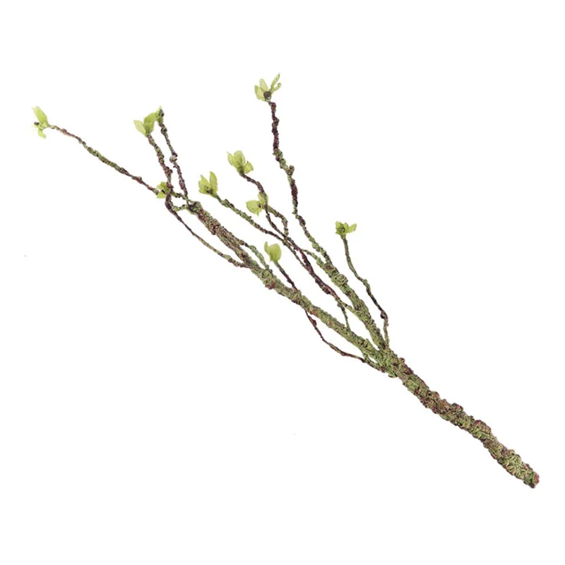 Vines Decor Climbing Branches  - đánh giá và giá Aquarium Fish To Buy