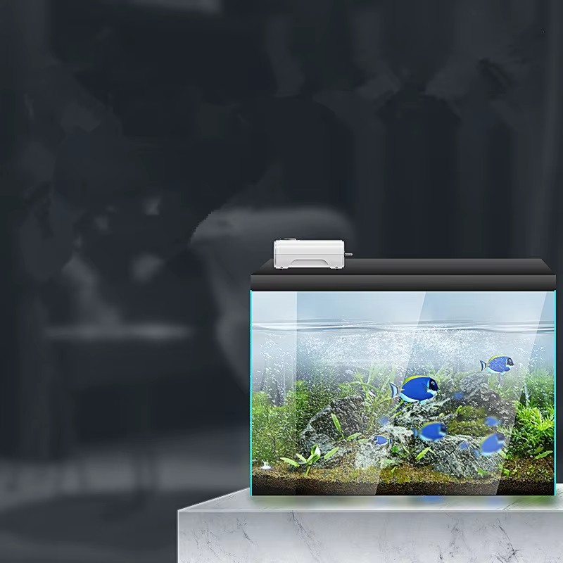 220V/110V 3W/8W/12W Ultra Sile - đánh giá và giá Aquarium Xl